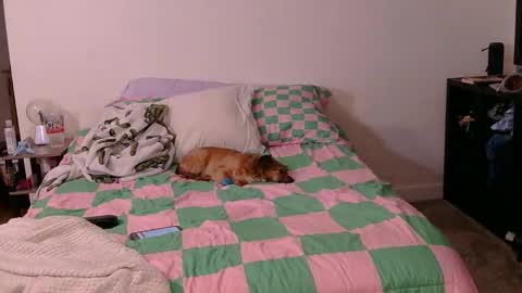 PAWG Pale Princess online show from October 19, 2025, 6:03 am