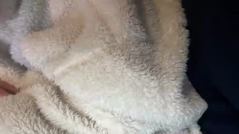 Prelako online show from October 26, 2025, 12:00 pm