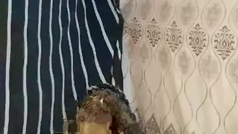 pretty705007 online show from March 21, 2026, 12:26 am