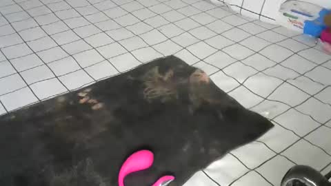 Snapshot of pretty_queennie chatting on December 22, 2025, 9:39 am Pretty doll online show from December 22, 2025, 9:39 am