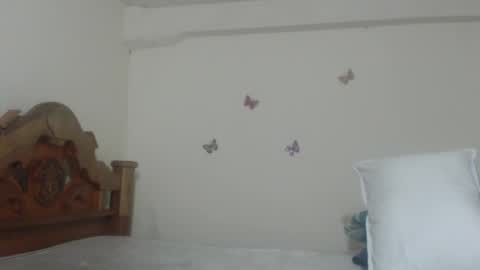 Snapshot of pretty_rose_ chatting on February 23, 2025, 7:11 am Rose online show from February 23, 2025, 7:11 am