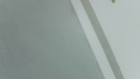 Snapshot of pretty_rose_ chatting on November 14, 2025, 8:24 am Rose online show from November 14, 2025, 8:24 am