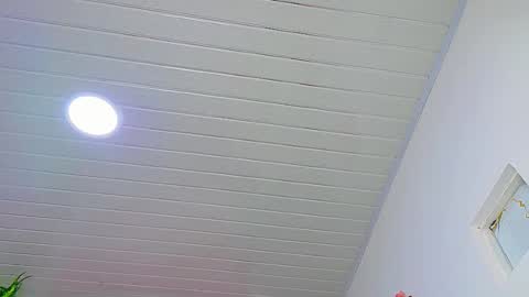 Snapshot of prettybunnies08 chatting on February 16, 2026, 11:56 pm Enzo Denis online show from February 16, 2026, 11:56 pm