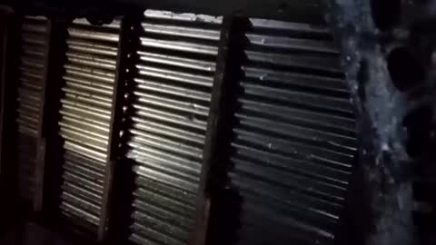 Snapshot of prettyneca5991 chatting on January 16, 2026, 5:28 pm prettyneca5991 online show from January 16, 2026, 5:28 pm