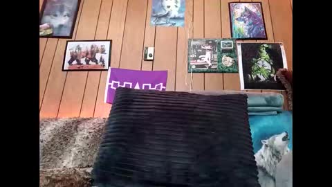 prettysolid7 online show from February 14, 2026, 1:08 pm