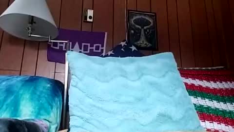 prettysolidd7 online show from December 4, 2024, 2:59 pm