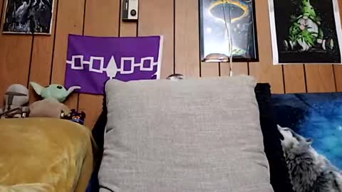 prettysolidd7 online show from January 27, 2025, 10:06 am