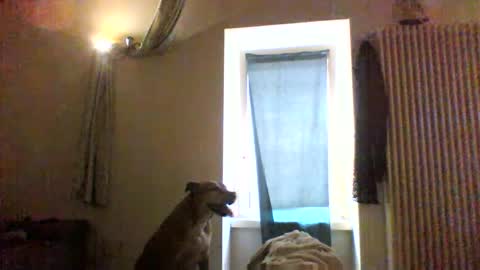 Snapshot of priante1983 chatting on January 8, 2026, 12:40 pm BBW facial slave online show from January 8, 2026, 12:40 pm