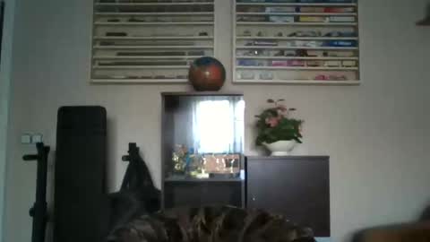 Snapshot of prince__13 chatting on February 25, 2026, 10:03 am Don online show from February 25, 2026, 10:03 am