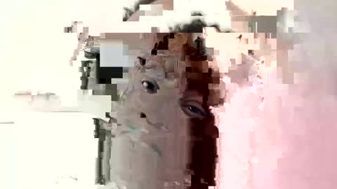 Snapshot of princeassahole chatting on October 6, 2025, 10:45 am Princess Asshole online show from October 6, 2025, 10:45 am