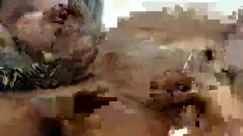 Snapshot of princeassahole chatting on October 9, 2025, 10:24 am Princess Asshole online show from October 9, 2025, 10:24 am