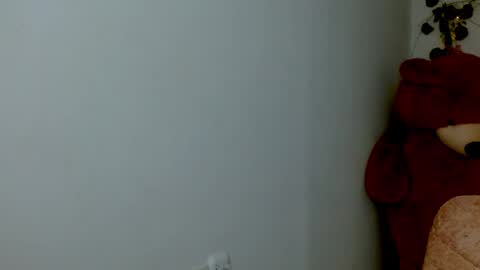 Snapshot of princess1609 chatting on February 23, 2026, 12:35 pm princess1609 online show from February 23, 2026, 12:35 pm