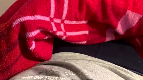 Snapshot of privat2025 chatting on February 1, 2026, 8:29 pm privat2025 online show from February 1, 2026, 8:29 pm