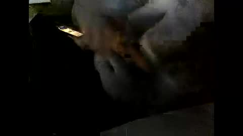 Snapshot of problm666 chatting on December 2, 2025, 6:03 pm Clothingoptional online show from December 2, 2025, 6:03 pm