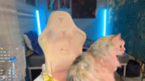 Queen of Pain online show from March 7, 2026, 4:04 pm