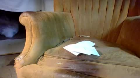 Snapshot of pspee313 chatting on February 28, 2026, 2:40 pm pspee313 online show from February 28, 2026, 2:40 pm