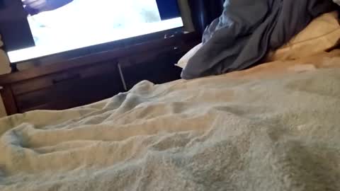 ptut82 online show from September 18, 2025, 7:10 am