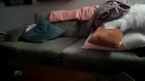 Puddles online show from February 10, 2026, 11:03 am