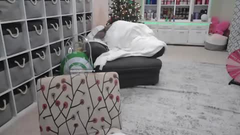 Snapshot of pugglelover chatting on December 14, 2024, 11:01 pm Puggie - online show from December 14, 2024, 11:01 pm