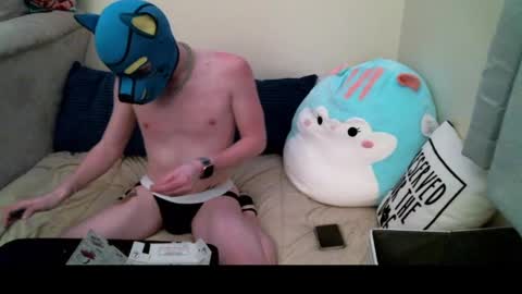 Pup Orion online show from December 19, 2024, 12:34 am