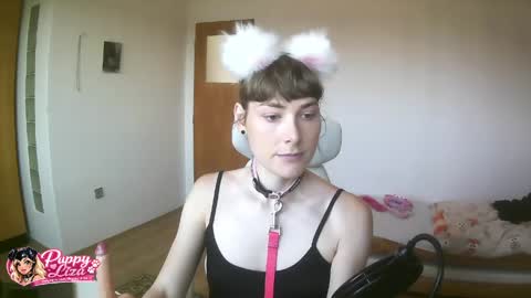 Snapshot of puppy_liza chatting on June 2, 2026, 7:21 am puppy_liza online show from June 2, 2026, 7:21 am