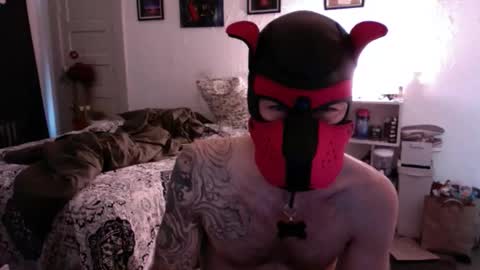 Snapshot of pupsuede chatting on March 15, 2026, 7:20 pm pupsuede online show from March 15, 2026, 7:20 pm