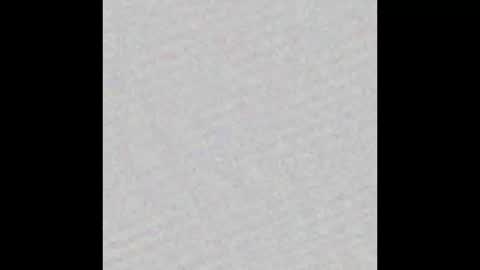 Snapshot of puptraining chatting on February 23, 2025, 7:44 am Puppers online show from February 23, 2025, 7:44 am