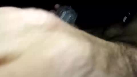 Pussyluver420 online show from November 11, 2025, 6:57 am