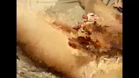 Snapshot of pussymoneyweed9125 chatting on September 28, 2025, 7:52 pm Thick Pussy banger online show from September 28, 2025, 7:52 pm