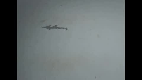 pussyxwetx online show from February 27, 2026, 5:02 pm