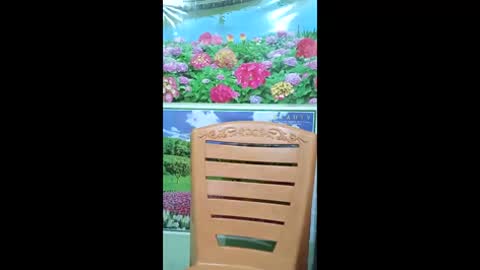 queensuperlady online show from January 18, 2026, 9:57 am