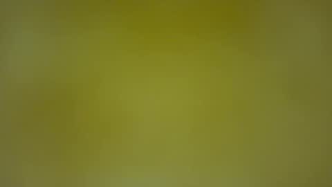 Snapshot of quinnxx chatting on February 8, 2026, 5:33 am quinnxx online show from February 8, 2026, 5:33 am