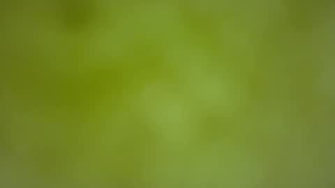 Snapshot of quinnxx chatting on February 22, 2026, 6:35 am quinnxx online show from February 22, 2026, 6:35 am