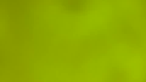 Snapshot of quinnxx chatting on March 9, 2026, 6:28 am quinnxx online show from March 9, 2026, 6:28 am