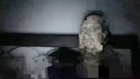 qwezxcqweasdzxc online show from October 23, 2025, 2:44 am