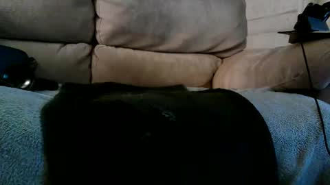 Snapshot of r3710 chatting on December 10, 2024, 6:28 pm Bi daddy online show from December 10, 2024, 6:28 pm