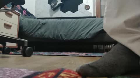 Snapshot of raccon68 chatting on December 20, 2025, 7:32 pm Raccoon68 online show from December 20, 2025, 7:32 pm