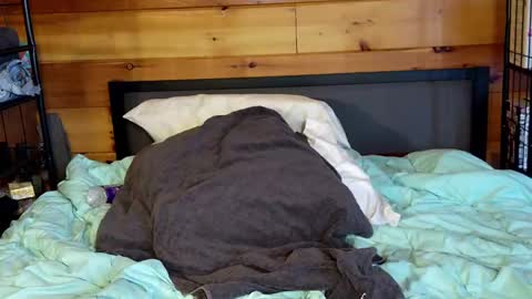 Snapshot of rachelxprice chatting on March 2, 2025, 2:00 pm Rachel Price online show from March 2, 2025, 2:00 pm