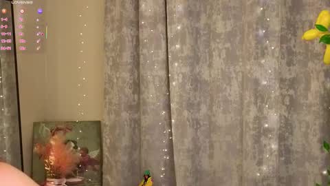 Rada  o online show from February 1, 2026, 6:06 pm