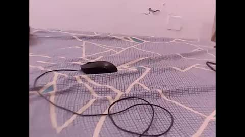 RAMAN online show from December 1, 2025, 4:56 pm