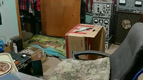 Randall online show from November 23, 2025, 11:26 pm