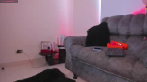   online show from February 11, 2026, 12:54 pm