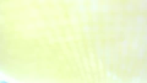 Snapshot of ravenfox_ chatting on March 29, 2026, 1:44 pm Ravenfox online show from March 29, 2026, 1:44 pm