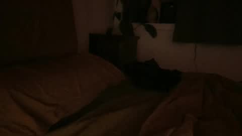 Snapshot of ravenousbttm chatting on February 6, 2025, 6:51 am sebas online show from February 6, 2025, 6:51 am