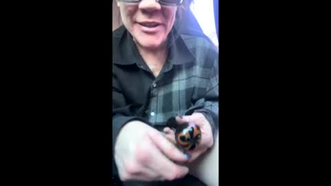 Snapshot of ravenrayyy chatting on February 9, 2026, 4:22 pm Raven Ray online show from February 9, 2026, 4:22 pm