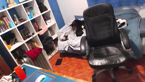 ravingr3d3 online show from February 2, 2026, 11:25 pm