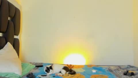 Snapshot of raydevil_ chatting on November 5, 2025, 4:40 pm Rayn online show from November 5, 2025, 4:40 pm