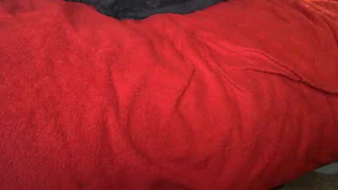 raymondo1964 online show from November 12, 2025, 11:47 pm