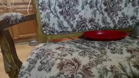 Snapshot of raysmith77777777 chatting on February 1, 2026, 5:50 am Ray online show from February 1, 2026, 5:50 am