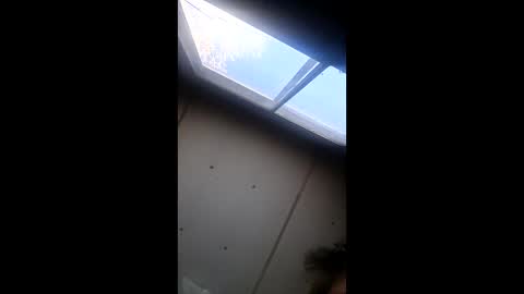 Snapshot of realisararebreed chatting on December 21, 2025, 5:42 pm realisararebreed online show from December 21, 2025, 5:42 pm